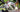 Saws Electro South West Ltd
