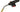 Faithfull FAIGZPROAUTO Quick Pro Auto Power Torch Electro South West Ltd