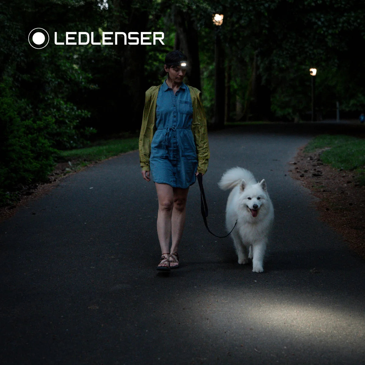 Ledlenser HF4R Core Rechargeable Head Torch Black 500 - Lumens