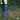 Helping Hands Litter Picker PRO Litter Grabber 33″/ 85cm being used to collect litter from on the ground