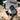 Image showing a pair of hands, in one hand is the Metabo GPS Tracker for ios, in the other is an iphone. The Metabo app is visible on the iPhone screen. A table with a metabo circular saw on it is visable in the background.