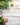 Gardening & Outdoors