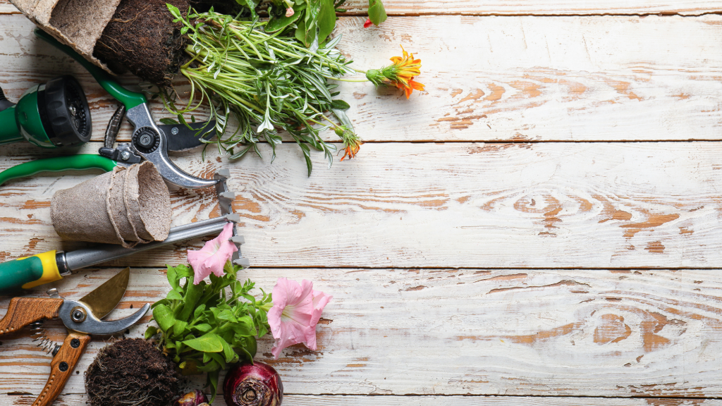 Gardening & Outdoors