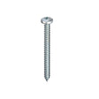 Self Tapping screw with a Pan Head Pozi Drive on a white background