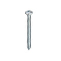 Self Tapping screw with a Pan Head Pozi Drive on a white background