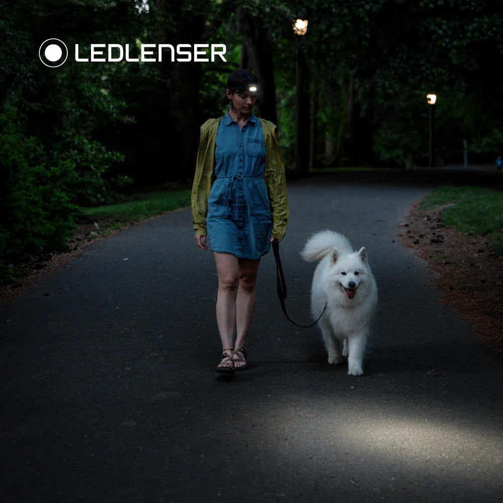 Ledlenser HF4R Core Rechargeable Head Torch Black 500 - Lumens