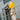 Gorilla Bin™ 30L Mixing Bucket - Yellow RG30.Y shown being used to tip material to a skip