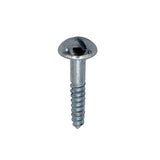 Slotted Dome Head Roofing Screw BZP