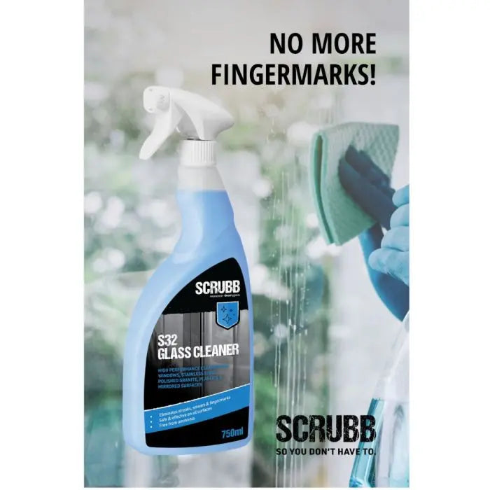 SCRUBB Glass Cleaner Trigger Spray 750ml Scrubb
