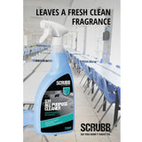 SCRUBB S31 All Purpose Cleaner Trigger Spray 750ml Scrubb