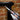Person applying STIXALL Extreme Power sealant to a brick wall